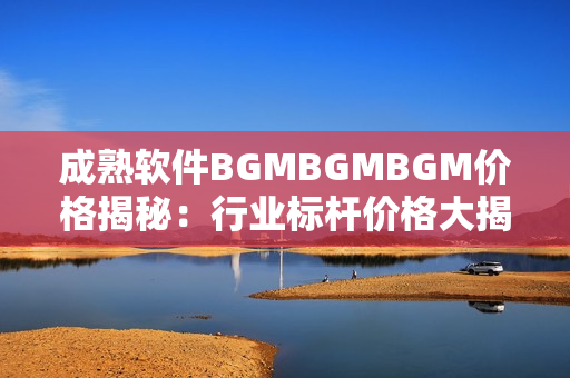 成熟軟件BGMBGMBGM價(jià)格揭秘：行業(yè)標(biāo)桿價(jià)格大揭秘