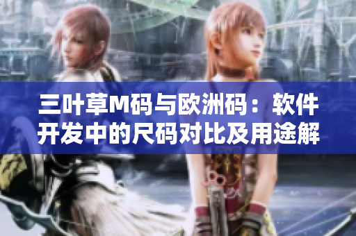 三葉草M碼與歐洲碼：軟件開發(fā)中的尺碼對(duì)比及用途解析