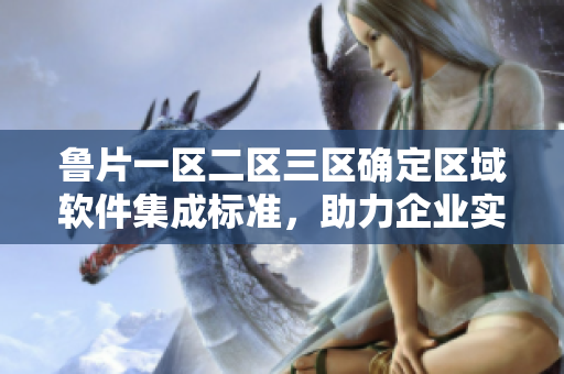 魯片一區(qū)二區(qū)三區(qū)確定區(qū)域軟件集成標準，助力企業(yè)實現(xiàn)高效運營