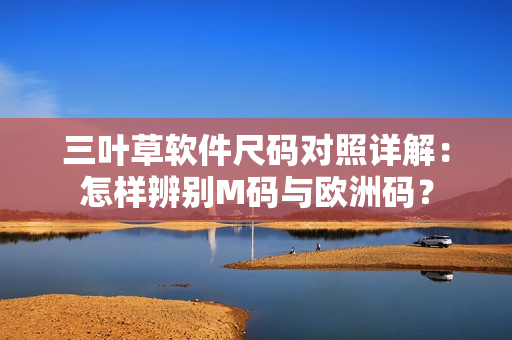 三葉草軟件尺碼對(duì)照詳解：怎樣辨別M碼與歐洲碼？