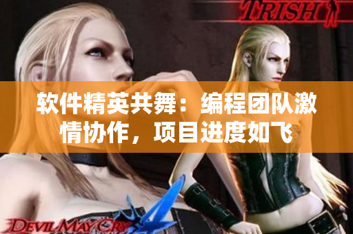 軟件精英共舞：編程團(tuán)隊激情協(xié)作，項目進(jìn)度如飛