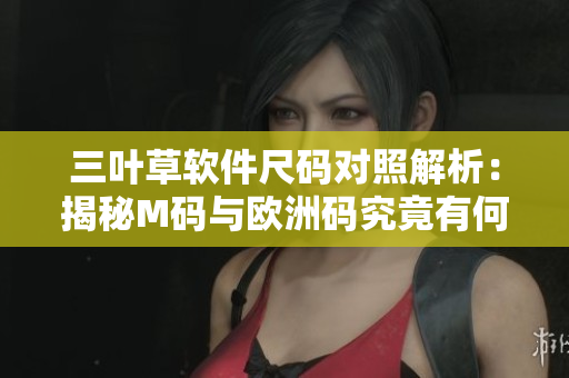三葉草軟件尺碼對照解析：揭秘M碼與歐洲碼究竟有何不同