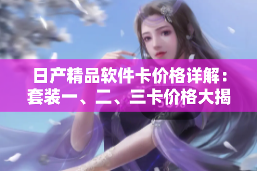 日產(chǎn)精品軟件卡價格詳解：套裝一、二、三卡價格大揭秘，讓你更懂軟件開發(fā)費用
