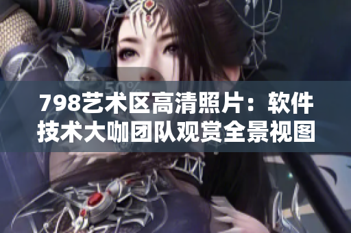 798藝術(shù)區(qū)高清照片：軟件技術(shù)大咖團(tuán)隊(duì)觀賞全景視圖