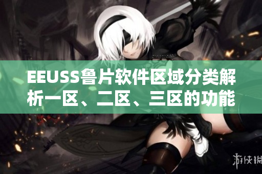 EEUSS魯片軟件區(qū)域分類解析一區(qū)、二區(qū)、三區(qū)的功能與特點(diǎn)
