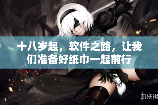 十八歲起，軟件之路，讓我們準(zhǔn)備好紙巾一起前行