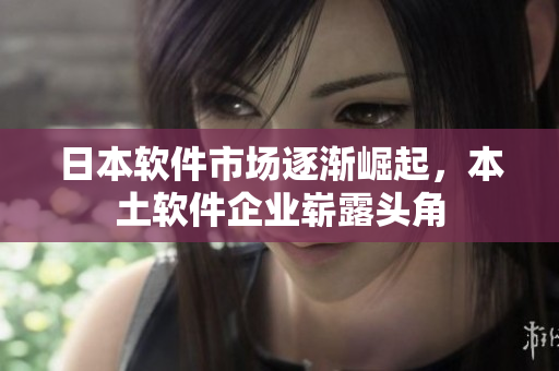 日本軟件市場(chǎng)逐漸崛起，本土軟件企業(yè)嶄露頭角