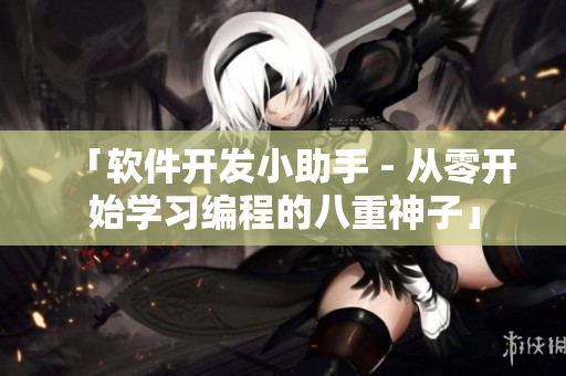 「軟件開發(fā)小助手 - 從零開始學(xué)習(xí)編程的八重神子」