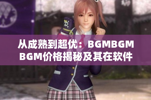 從成熟到超優(yōu)：BGMBGMBGM價格揭秘及其在軟件開發(fā)中的應(yīng)用