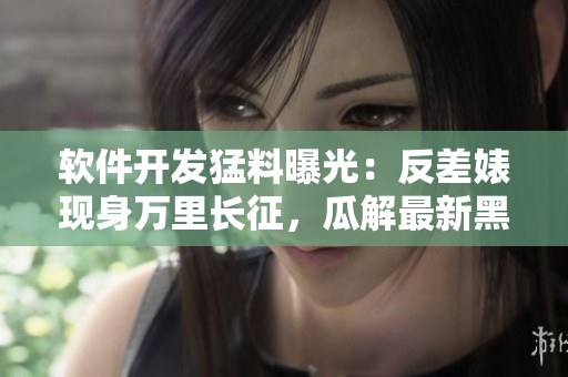 軟件開發(fā)猛料曝光：反差婊現(xiàn)身萬里長征，瓜解最新黑料集錦