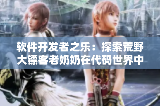 軟件開發(fā)者之樂：探索荒野大鏢客老奶奶在代碼世界中的奇遇