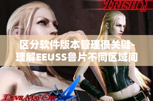 區(qū)分軟件版本管理很關(guān)鍵-理解EEUSS魯片不同區(qū)域間的差異