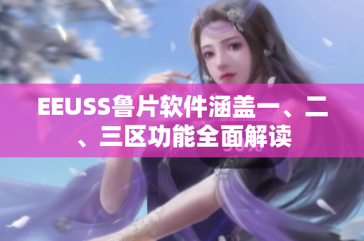 EEUSS魯片軟件涵蓋一、二、三區(qū)功能全面解讀