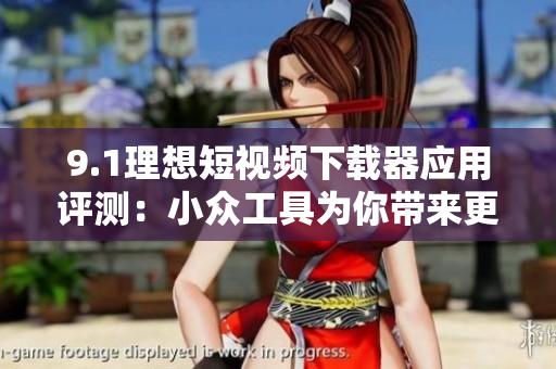 9.1理想短視頻下載器應(yīng)用評(píng)測(cè)：小眾工具為你帶來(lái)更多精彩視頻體驗(yàn)