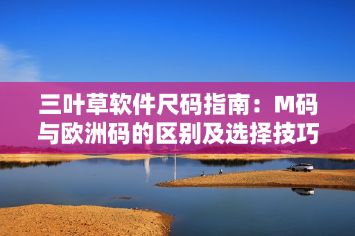 三葉草軟件尺碼指南：M碼與歐洲碼的區(qū)別及選擇技巧