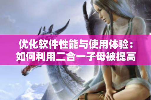 優(yōu)化軟件性能與使用體驗：如何利用二合一子母被提高代碼質(zhì)量