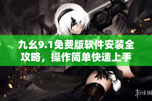 九幺9.1免費(fèi)版軟件安裝全攻略，操作簡單快速上手