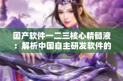 國(guó)產(chǎn)軟件一二三核心精髓液：解析中國(guó)自主研發(fā)軟件的精髓