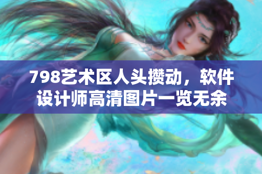 798藝術區(qū)人頭攢動，軟件設計師高清圖片一覽無余