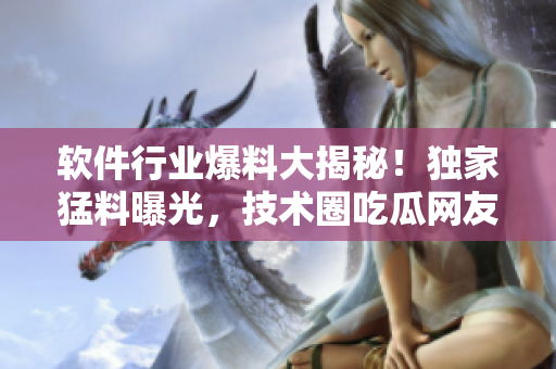軟件行業(yè)爆料大揭秘！獨(dú)家猛料曝光，技術(shù)圈吃瓜網(wǎng)友們快來圍觀最新爆料！