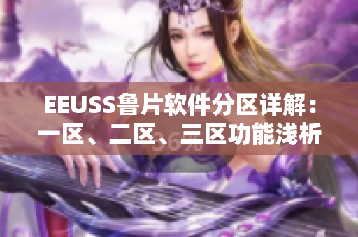 EEUSS魯片軟件分區(qū)詳解：一區(qū)、二區(qū)、三區(qū)功能淺析