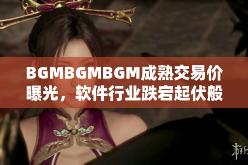 BGMBGMBGM成熟交易價(jià)曝光，軟件行業(yè)跌宕起伏般變化