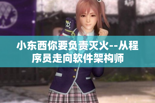 小東西你要負(fù)責(zé)滅火--從程序員走向軟件架構(gòu)師