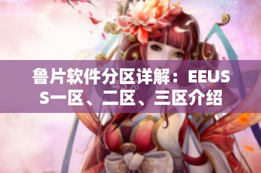 魯片軟件分區(qū)詳解：EEUSS一區(qū)、二區(qū)、三區(qū)介紹