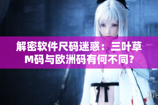 解密軟件尺碼迷惑：三葉草M碼與歐洲碼有何不同？