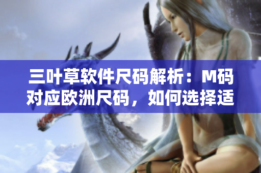 三葉草軟件尺碼解析：M碼對應歐洲尺碼，如何選擇適合的軟件開發(fā)服裝？