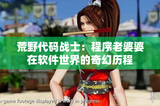 荒野代碼戰(zhàn)士：程序老婆婆在軟件世界的奇幻歷程