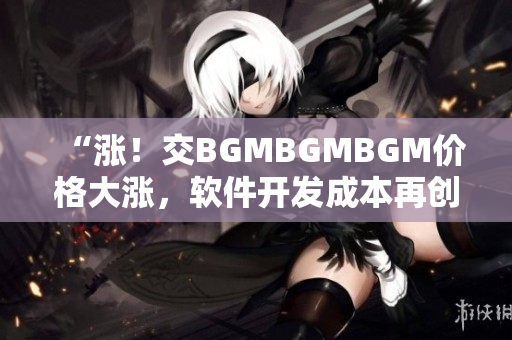 “漲！交BGMBGMBGM價格大漲，軟件開發(fā)成本再創(chuàng)新高！”