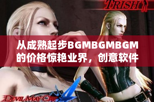 從成熟起步BGMBGMBGM的價格驚艷業(yè)界，創(chuàng)意軟件必不可少