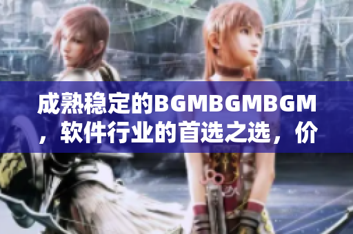 成熟穩(wěn)定的BGMBGMBGM，軟件行業(yè)的首選之選，價(jià)格揭秘