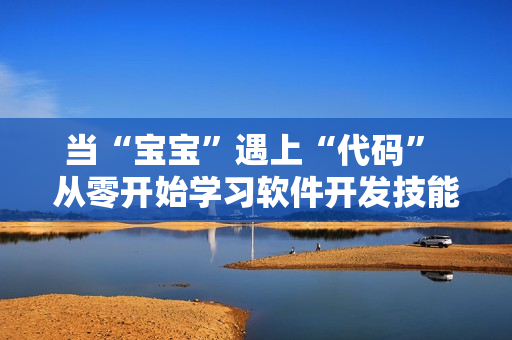 當(dāng)“寶寶”遇上“代碼” 從零開始學(xué)習(xí)軟件開發(fā)技能