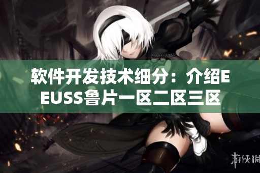 軟件開發(fā)技術(shù)細(xì)分：介紹EEUSS魯片一區(qū)二區(qū)三區(qū)