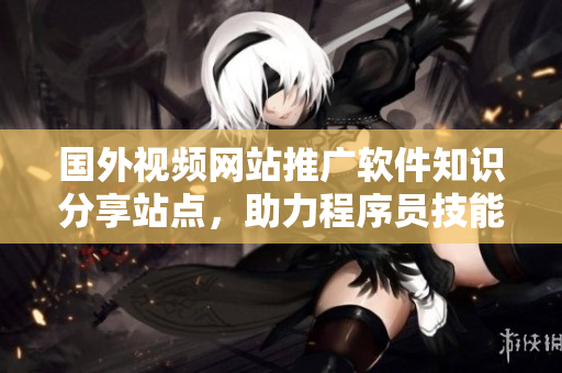 國外視頻網(wǎng)站推廣軟件知識分享站點，助力程序員技能提升