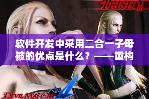 軟件開(kāi)發(fā)中采用二合一子母被的優(yōu)點(diǎn)是什么？——重構(gòu)代碼，提高可讀性