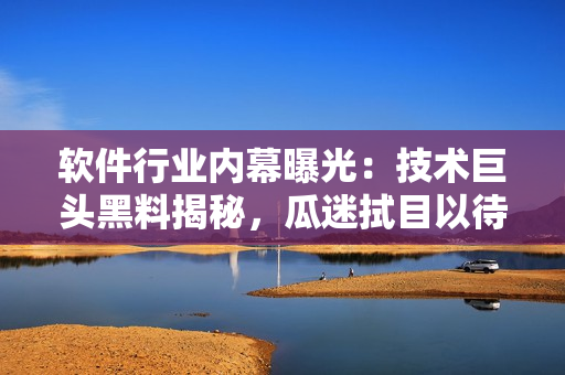 軟件行業(yè)內(nèi)幕曝光：技術(shù)巨頭黑料揭秘，瓜迷拭目以待