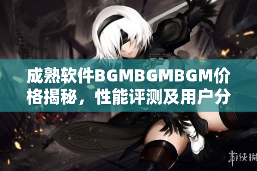 成熟軟件BGMBGMBGM價格揭秘，性能評測及用戶分享
