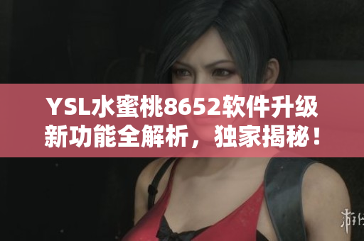 YSL水蜜桃8652軟件升級新功能全解析，獨家揭秘！