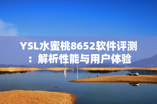YSL水蜜桃8652軟件評(píng)測(cè)：解析性能與用戶體驗(yàn)