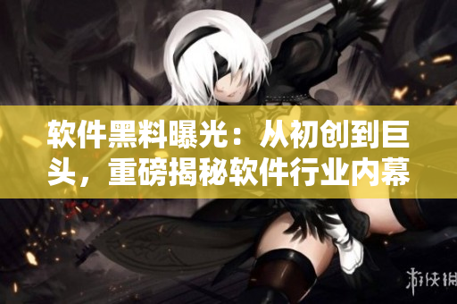 軟件黑料曝光：從初創(chuàng)到巨頭，重磅揭秘軟件行業(yè)內(nèi)幕、猛料大曝光