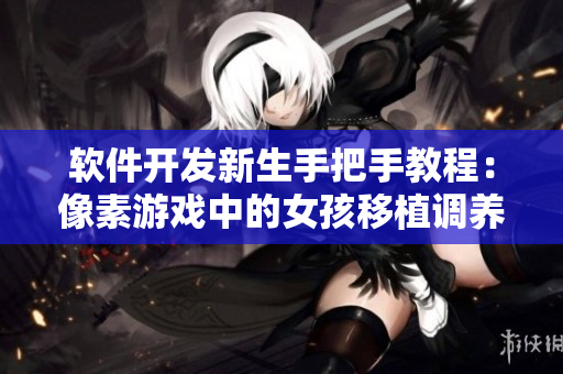 軟件開發(fā)新生手把手教程：像素游戲中的女孩移植調(diào)養(yǎng)