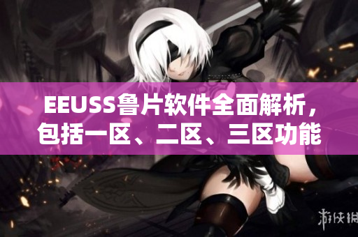 EEUSS魯片軟件全面解析，包括一區(qū)、二區(qū)、三區(qū)功能詳解