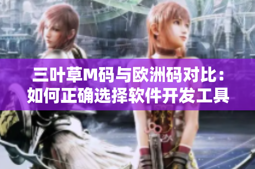 三葉草M碼與歐洲碼對比：如何正確選擇軟件開發(fā)工具尺碼