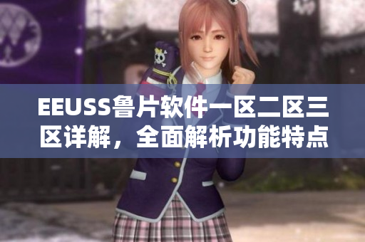 EEUSS魯片軟件一區(qū)二區(qū)三區(qū)詳解，全面解析功能特點(diǎn)及應(yīng)用場(chǎng)景