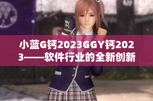 小藍(lán)G鈣2023GGY鈣2023——軟件行業(yè)的全新創(chuàng)新之路