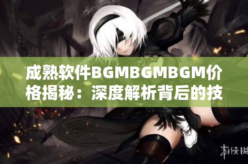成熟軟件BGMBGMBGM價格揭秘：深度解析背后的技術奧秘