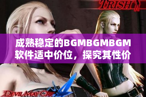 成熟穩(wěn)定的BGMBGMBGM軟件適中價(jià)位，探究其性價(jià)比的深度評(píng)測(cè)